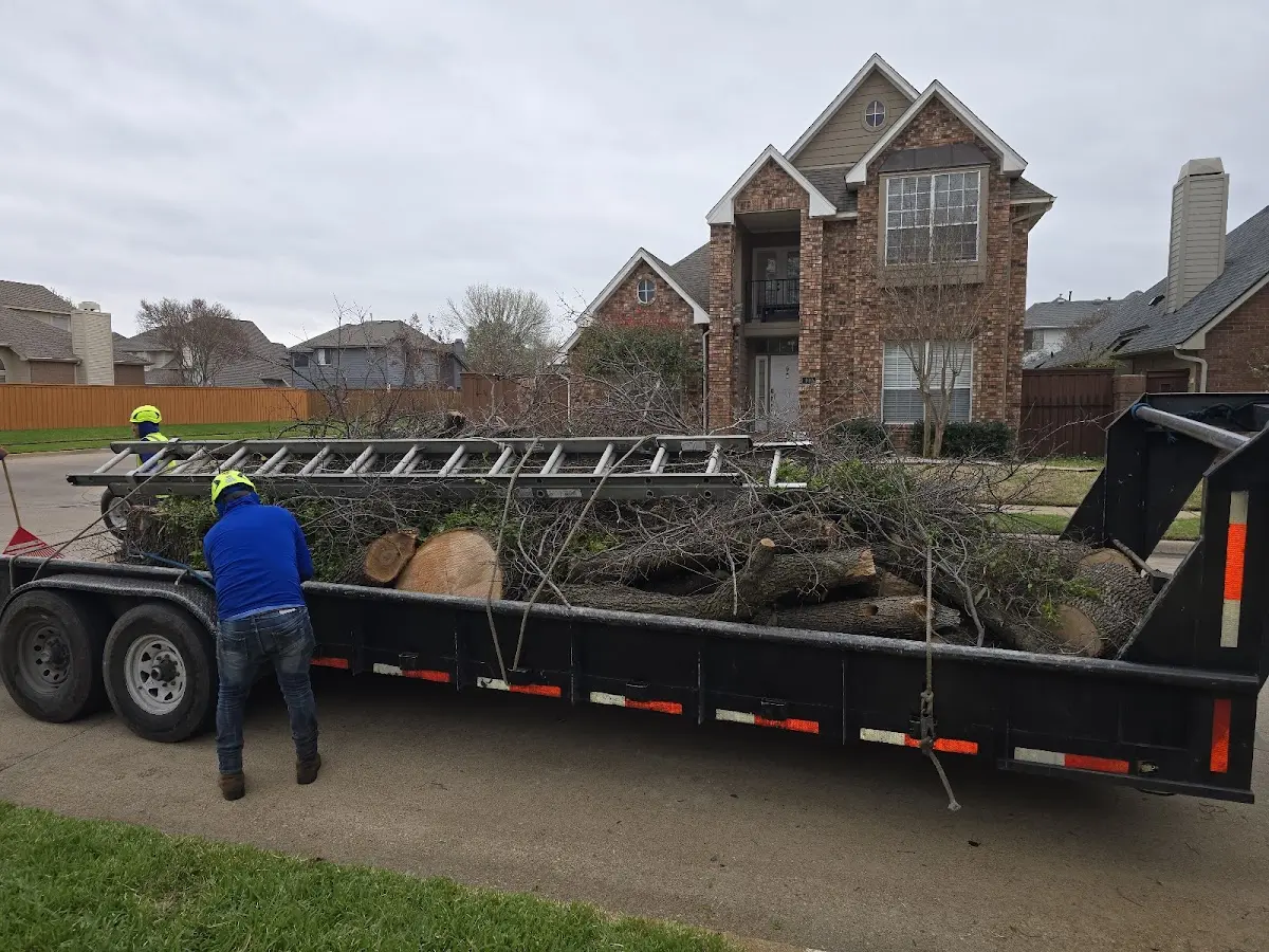 Expert Tree Pest Control with proper safety equipment in Oakville